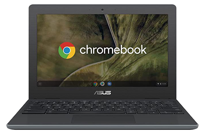 Asus Chromebook Notebook Con Monitor 11.6" Hd Anti-Glare, Intel Celeron N4020